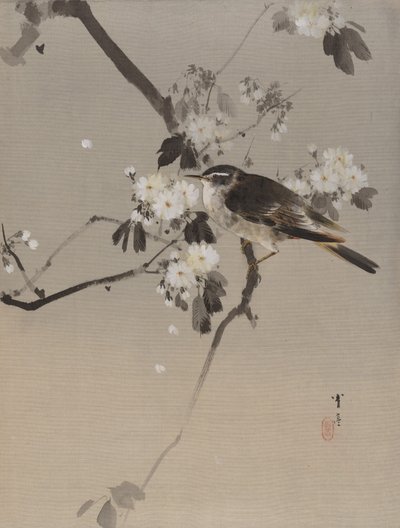 Fåglar på en blommande gren, ca. 1887. av Watanabe Seitei