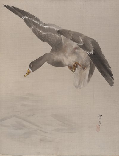 Anka, ca. 1887. av Watanabe Seitei
