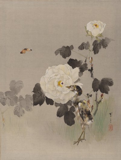 Rosor, ungfågel och en fjäril, ca. 1887. av Watanabe Seitei