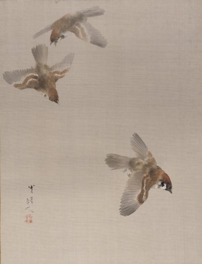 Sparvar som flyger, ca. 1887. av Watanabe Seitei