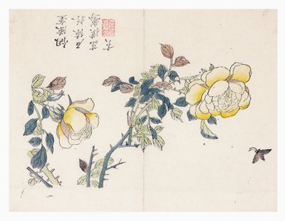 Senapsfröträdgård av Wen shu Chao