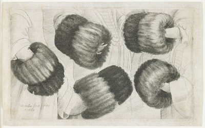 En muff i fem vyer, 1645-1646 av Wenceslaus Hollar
