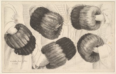 En muff i fem vyer, 1645-46. av Wenceslaus Hollar