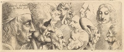 En mängd olika huvuden, 1625-77. av Wenceslaus Hollar