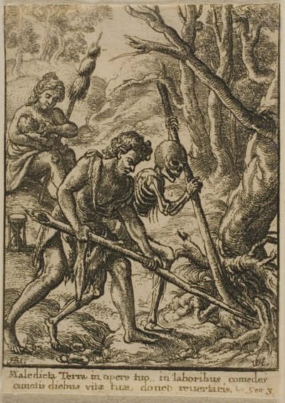 Adam plöjer av Wenceslaus Hollar