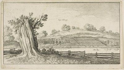 Albury med trädstubb i förgrunden av Wenceslaus Hollar