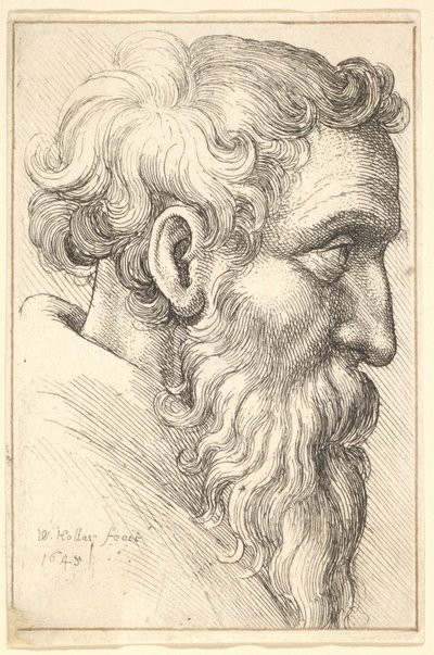 Skäggig gubbe i profil till höger, 1645. av Wenceslaus Hollar