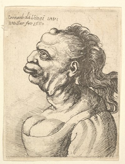 Byst av en kvinna som bär lågt skuren klänning, med utskjutande läpp, utväxt i pannan, promi..., 1660. av Wenceslaus Hollar