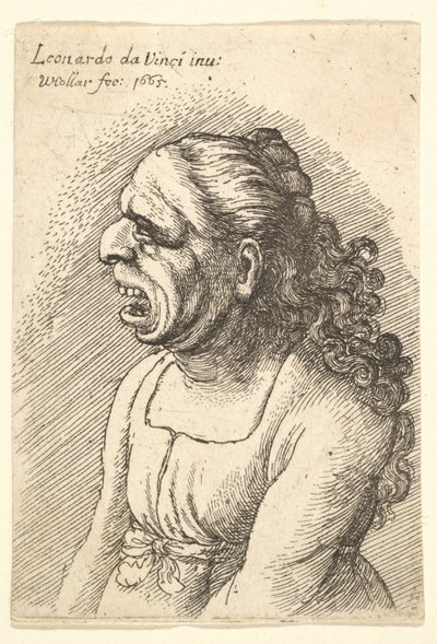 Byst av kvinna med vidöppen mun och långt lockigt hår som faller över hennes axlar, klädd i..., 1665. av Wenceslaus Hollar