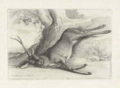 Skjut rådjur Jakt, jakthundar och vilt (serietitel) av Wenceslaus Hollar