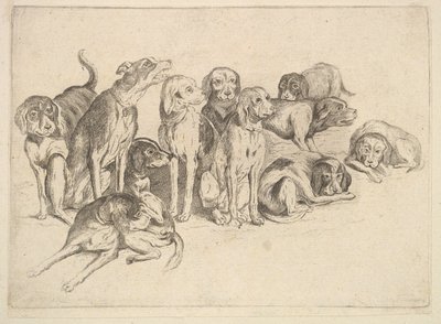 Elva jakthundar av Wenceslaus Hollar