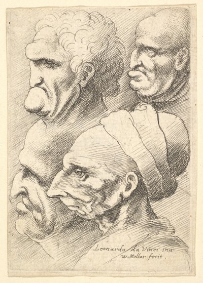 Fyra groteska huvuden i profil till vänster, 1625-77. av Wenceslaus Hollar