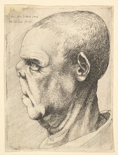 Grotesk gubbe med tillplattad näsa i profil till vänster, 1625-77. av Wenceslaus Hollar