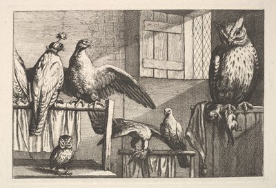 Hökar och ugglor, 1625-77. av Wenceslaus Hollar