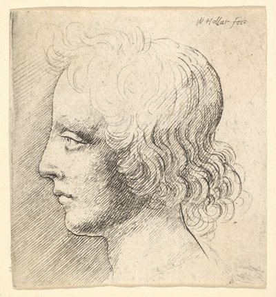  av Wenceslaus Hollar