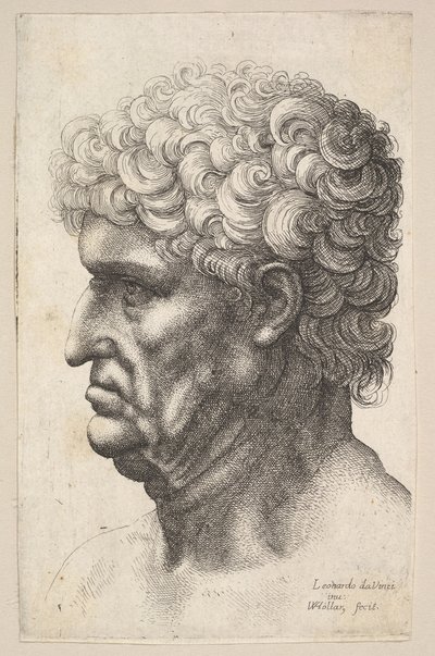 Huvud av en man med tjockt lockigt hår i profil till vänster, 1640-49. av Wenceslaus Hollar