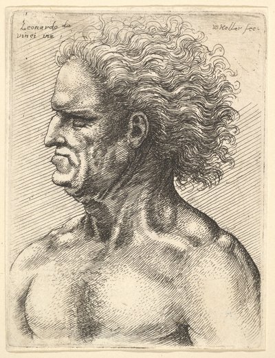 Huvudet av en muskulös gubbe i profil till vänster med flödande hår, 1625-77. av Wenceslaus Hollar