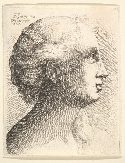 Chef för en ung kvinna i profil till höger, 1645. av Wenceslaus Hollar