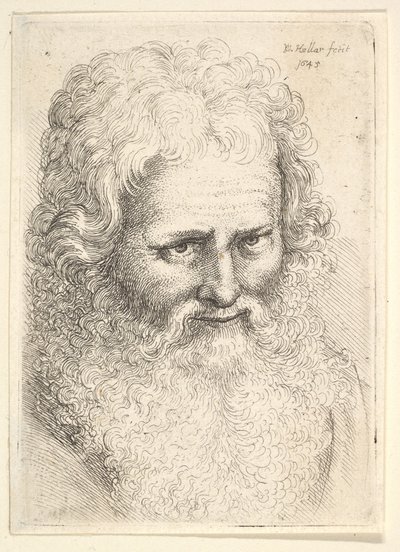 Huvud av en gammal man med stort skägg, 1645. av Wenceslaus Hollar