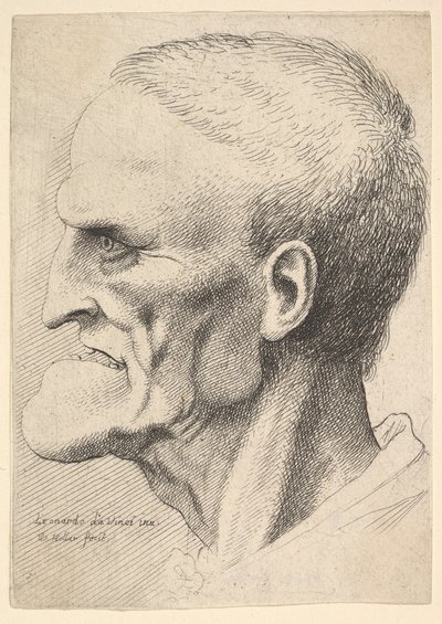 Huvud av en gammal man med en uttalad haka, kort avklippt hår och gapande mun som visar ..., 1625-77. av Wenceslaus Hollar