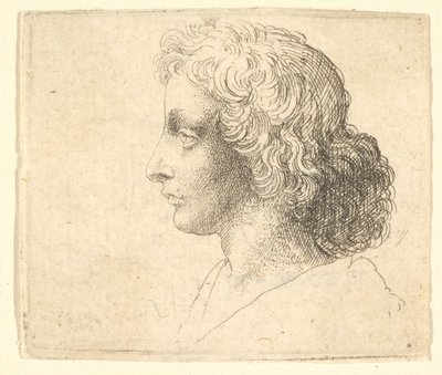 Huvud av ung man med långt hår i profil till vänster, 1644-52. av Wenceslaus Hollar