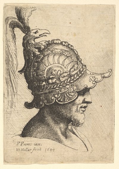 Hjälmhuvud med fågelhuvud, 1645. av Wenceslaus Hollar