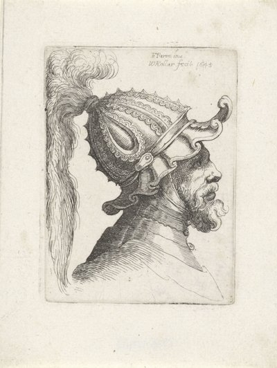 Huvudet av en man med plymerad hjälm Huvuden med hjälmar till Parmigianino (serietitel) av Wenceslaus Hollar