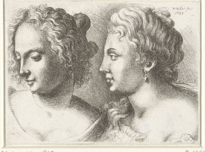 Huvuden av två unga kvinnor Varie figurae et probae (serietitel) Karikatyrer, huvuden och missbildningar efter Leonardo da Vinci (serietitel) av Wenceslaus Hollar