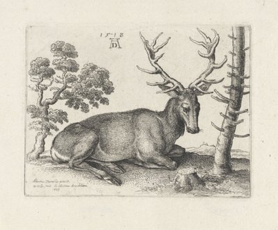 Liggande rådjur, till höger av Wenceslaus Hollar