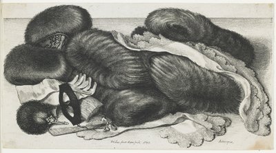 Muffar och klädesplagg på ett bord, 1647 av Wenceslaus Hollar