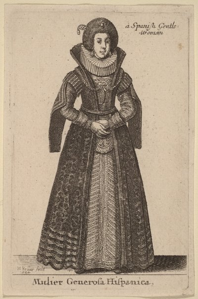  av Wenceslaus Hollar