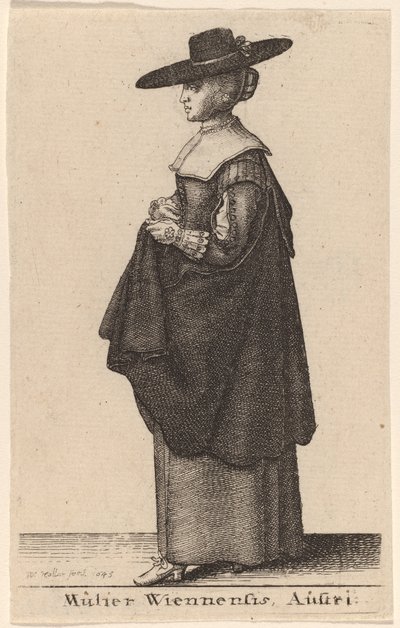swedish av Wenceslaus Hollar