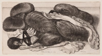  av Wenceslaus Hollar