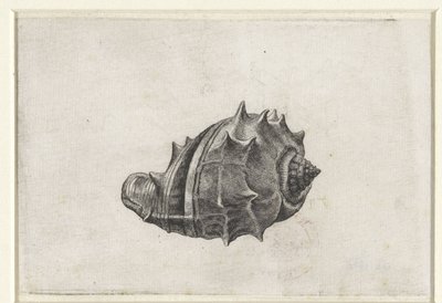 swedish av Wenceslaus Hollar