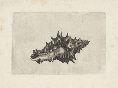 swedish av Wenceslaus Hollar