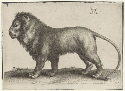 stående lejon av Wenceslaus Hollar