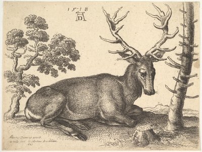 Stag liggande till höger, 1649. av Wenceslaus Hollar