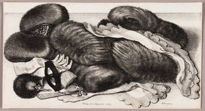 Stilleben med en grupp muffar, ett par handskar och två huvuddukar av Wenceslaus Hollar