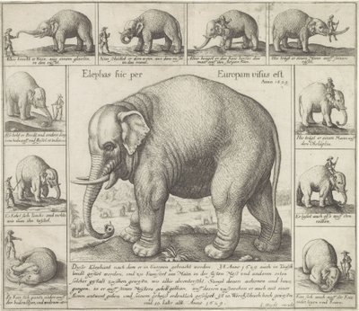 De luktar också En elefant sågs här i Europa (titel på objekt) av Wenceslaus Hollar