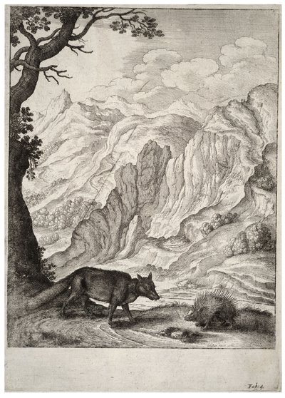 Räven och piggsvinet. Tillstånd 2 av Wenceslaus Hollar