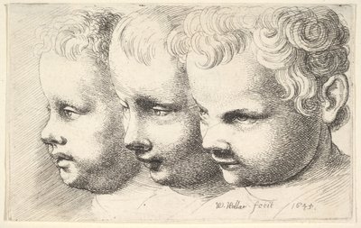  av Wenceslaus Hollar