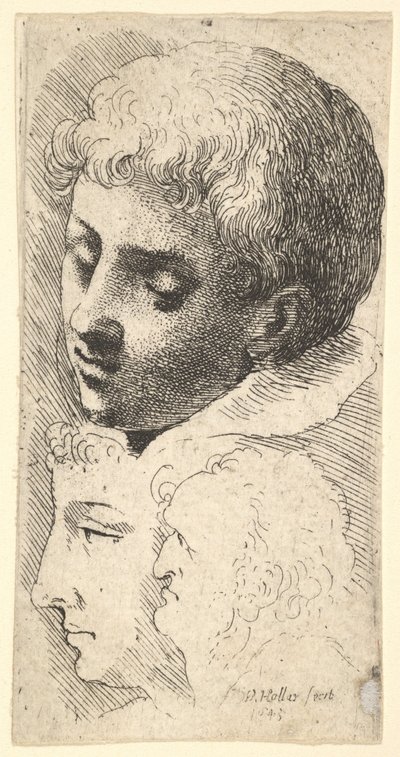Tre huvuden, 1645. av Wenceslaus Hollar