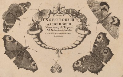 Titelsida. av Wenceslaus Hollar