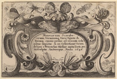 Titelsida av Wenceslaus Hollar