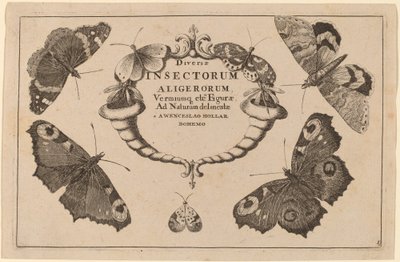 Titelsida av Wenceslaus Hollar