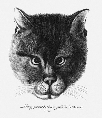 Sann bild av tsaren Alexis I Mikhailovichs katt av Ryssland av Wenceslaus Hollar