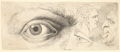 Två ögon och två huvuden, 1644-52. av Wenceslaus Hollar