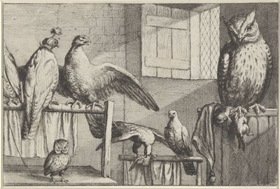 Falkar och ugglor i en lada Diversae avium arter (serietitel) Olika fåglar (serietitel) av Wenceslaus Hollar
