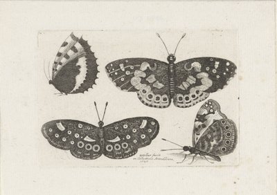 Vier vlinders Insekter (serietitel) Scarab Flies (serietitel) av Wenceslaus Hollar