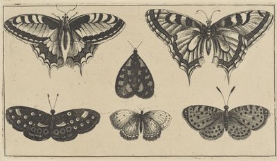 Fem fjärilar och en nattfjäril Olika insekter (serietitel) Diversae Insectorum (serietitel) av Wenceslaus Hollar